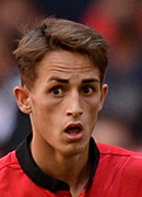 Adnan Januzaj