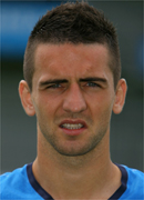 Vedad Ibisevic
