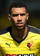 Etienne Capoue